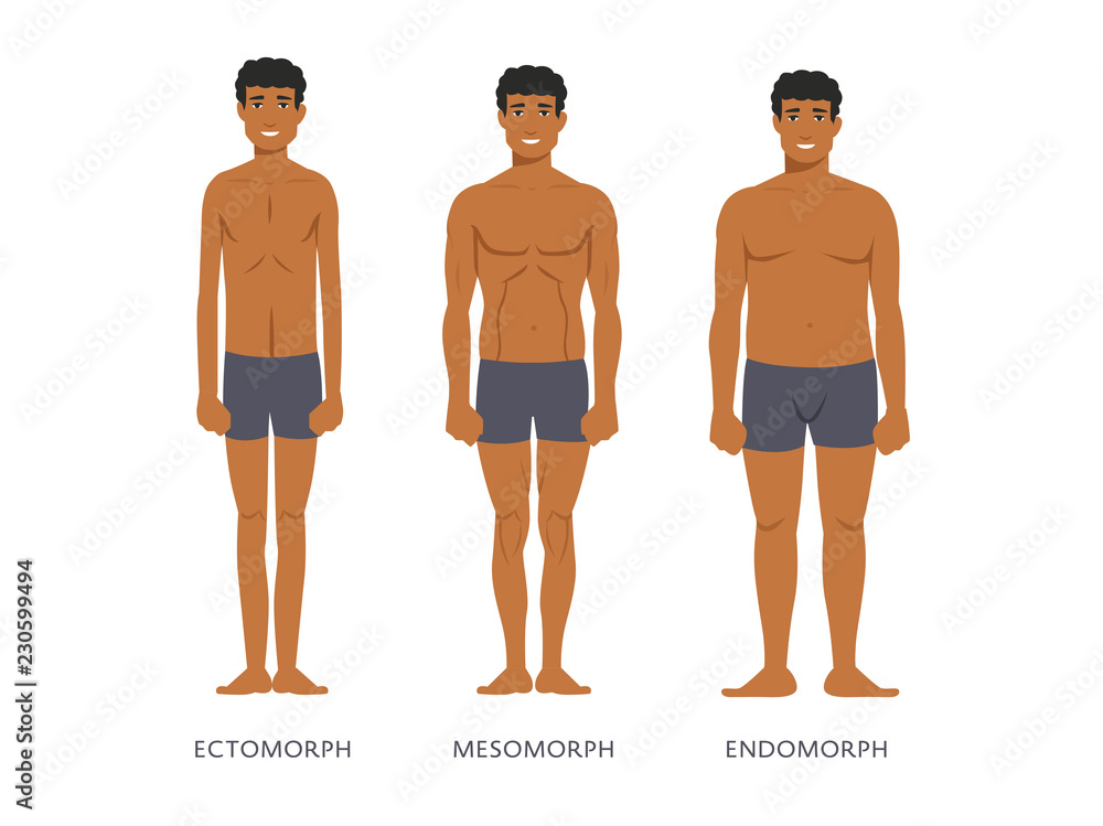 Human body types. Men as endomorph, ectomorph and mesomorph. Stock ...