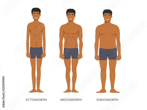 Human body types. Men as endomorph, ectomorph and mesomorph.