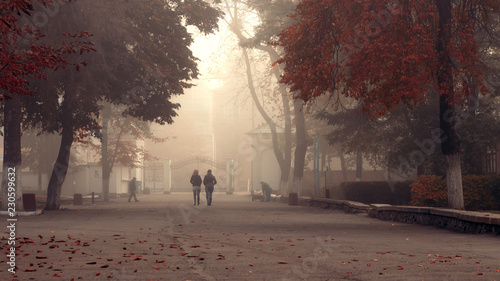 Dangerous smog fog in the city poisons the environment. Danger to breathing. in the autumn park. gas counter