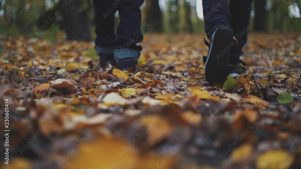 Brother, two boys are walking on a autumn leaves in a forest Brother, two boys are walking on a autumn leaves in a forest