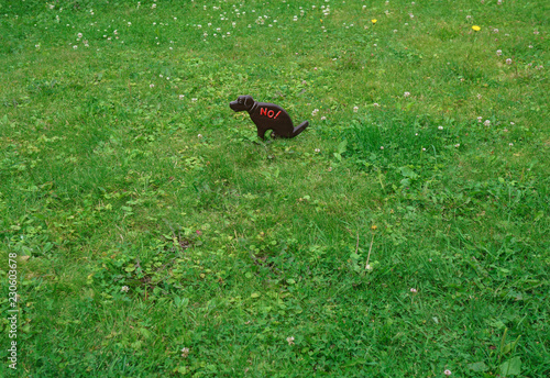 Image of a pet with a warning on a green lawn. Dog walking is prohibited. Stock photo for design