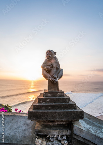 Smart monkey grinning on a rock of Uluwatu Temple with Sunglasses in his hands during sunset