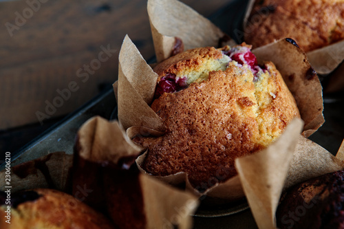 Fotografie Home Made Cranberry Chocolate Muffins