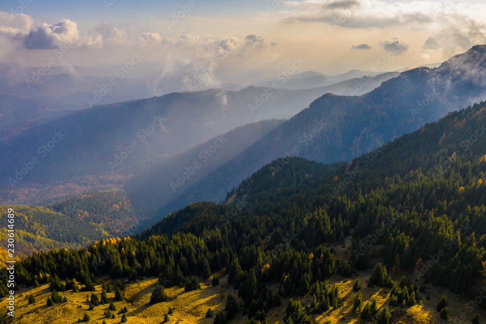 Fototapeta premium Aerial photography over big mountain forest. Sunset over the forest. Foggy valley at the sunrise. Golden hour over the forest with mist. Beautiful aerial landscape. Drone shots over the foggy forest.