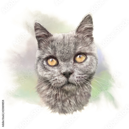 Realistic portrait of a cute cat on watercolor background. Drawing of a cat head with yellow eyes. Good for print T-shirt, card, pillow, banner. Art background for pet shop. Hand painted illustration.