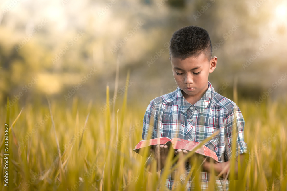 boy holding and reading book or holy bible in rice field.
