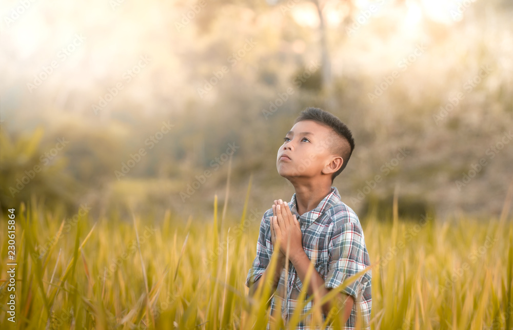 Christian boy is praying in a rice field. Christian boy is praying in a rice field.