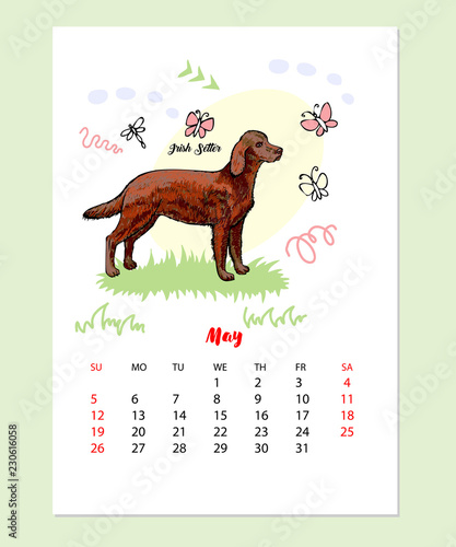 May Calendar 2019 with Funny Irish Setter Dog Sketch. Hand drawn animals vector illustration