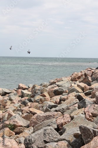 sea and rocks, seagulls