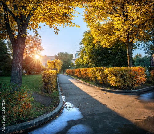 Canvas Print Солнечный осенний пейзаж с деревьями в парке Autumn sunny landscape