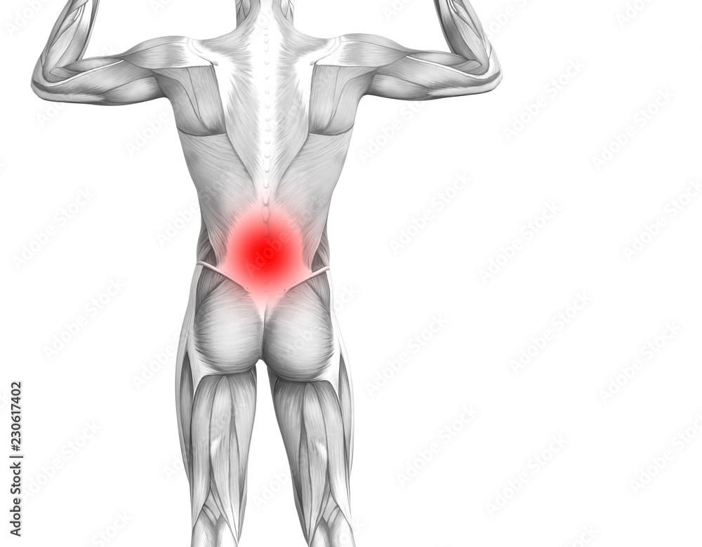 Conceptual back human anatomy with red hot spot inflammation articular joint pain or spine health care therapy or sport muscle concepts. 3D illustration man arthritis or bone sore osteoporosis disease Conceptual back human anatomy with red hot spot inflammation articular joint pain or spine health care therapy or sport muscle concepts. 3D illustration man arthritis or bone sore osteoporosis disease