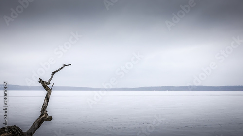 A dead branch hangs out on ...