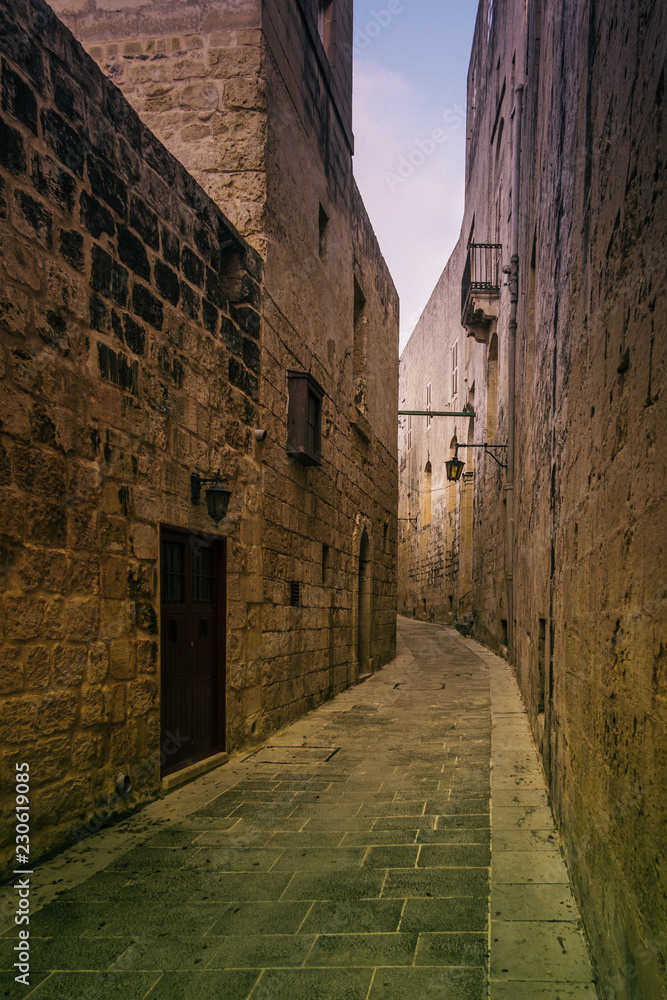 The narrow streets of the old town of Mdina, Malta