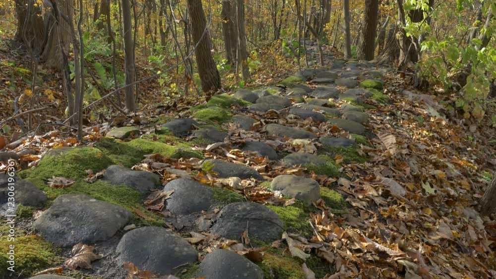Fallen leaves and stone steps Fallen leaves and stone steps