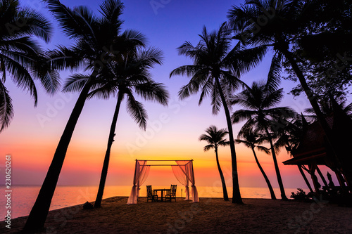 morning sunrise landscapes colourful silhouette coconut space for wedding in love
