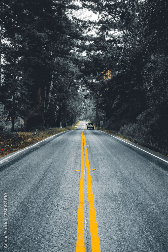 Fototapeta premium yellow double solid road lines in the forest, car far away