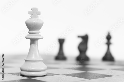 Scacchi fotografati su una scacchiera