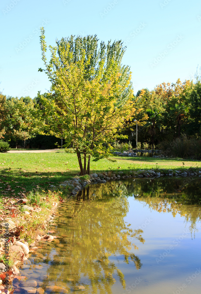 Obraz premium Autumn landscape in the park with lake.