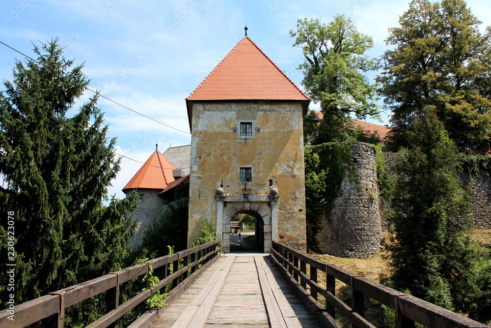 Wooden bridge entrance to old stone castle with dilapidated facade and completely new renovated roof surrounded with tall trees, overgrown vegetation and stone walls with cloudy blue sky background
