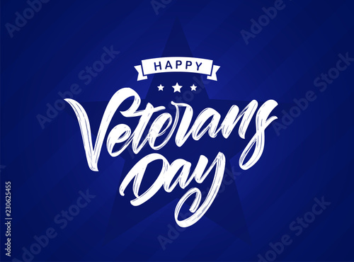 Vector illustration  Handwritten calligraphic lettering composition of Happy Veterans Day on blue background.