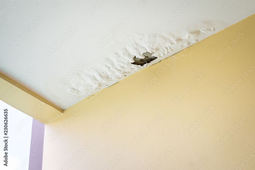 Ceiling Leaking Water When It Rains India