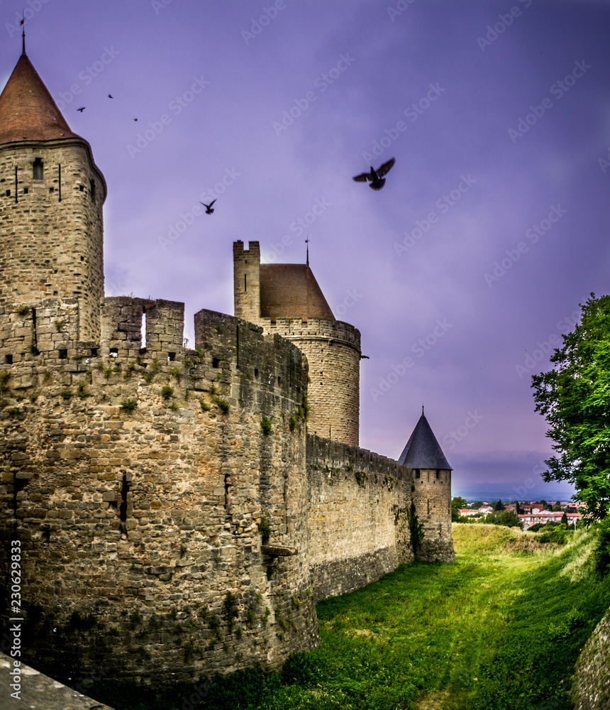 Cité de Carcassonne pigeons