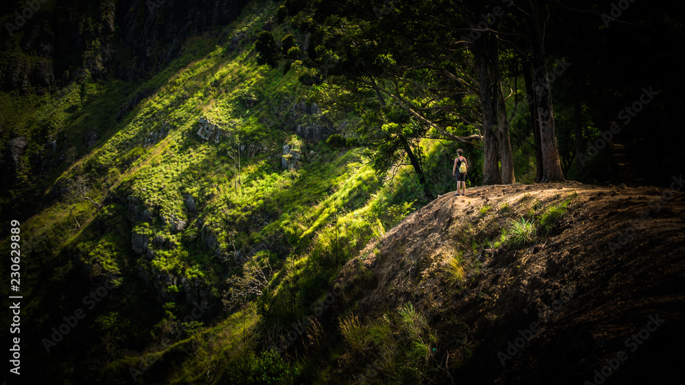 green cliffs green cliffs