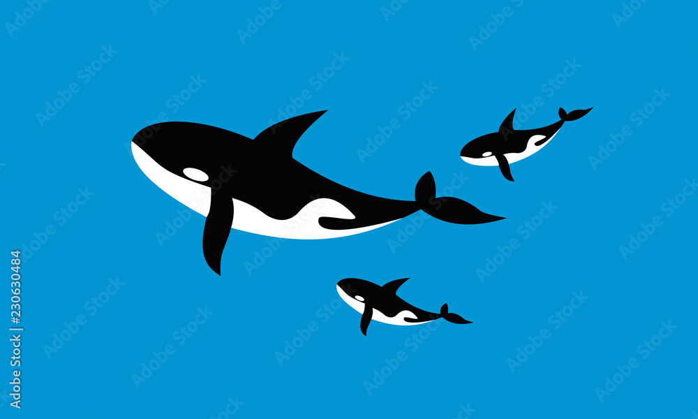 population of whales population of whales