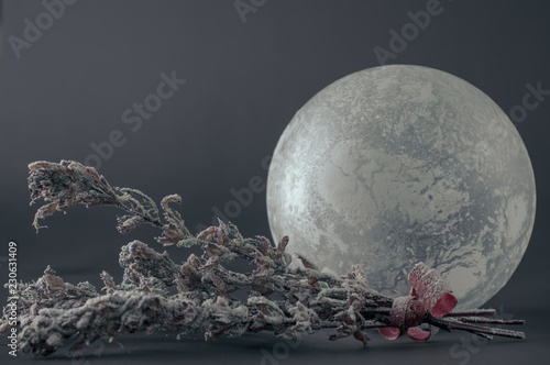 Glass sphere with frosty pattern and snow-covered dry flowers.