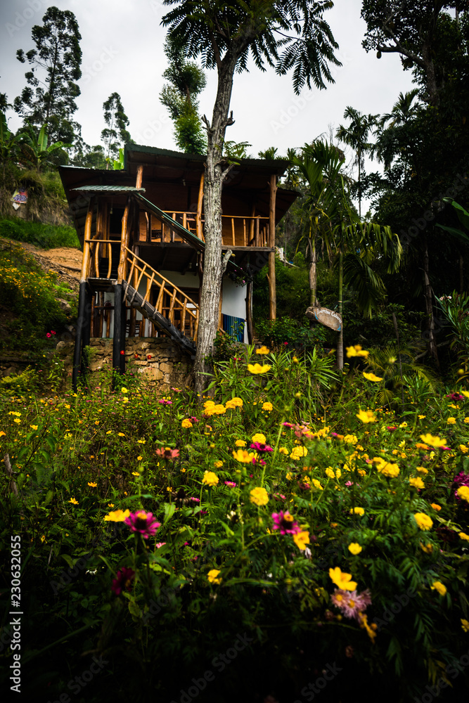 house with beautiful flower garden