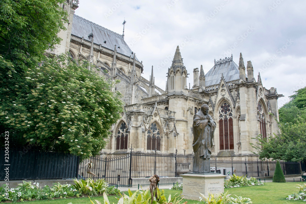 Fototapeta premium Notre dame de Paris