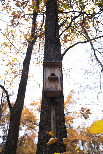 beautiful wooden nesting box in the autumn forest © Nikita Shevchenko