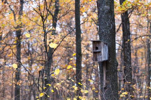 beautiful wooden nesting box in the autumn forest