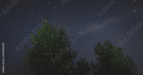 landscape of the night sky silhouettes of trees