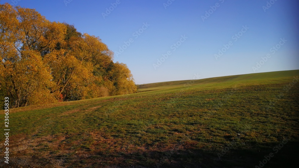 Mein Herbst 2018 14