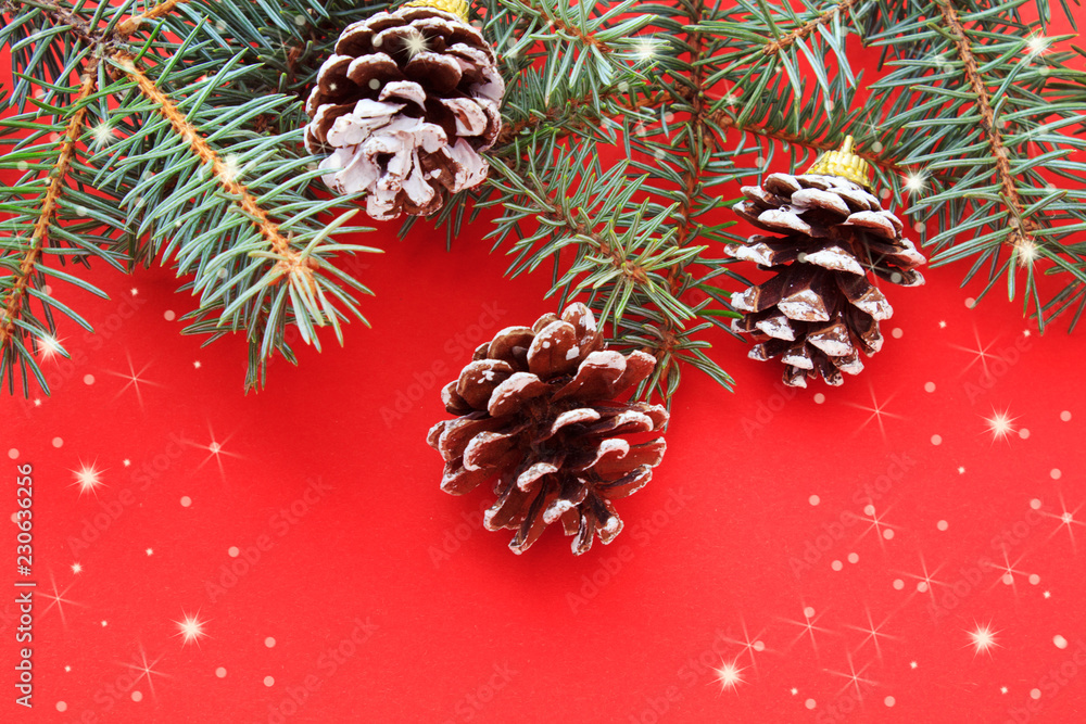 Christmas and New Year background. Pine cones and branches of the Xmas tree on a red background. Copy space. Christmas and New Year background. Pine cones and branches of the Xmas tree on a red background. Copy space.