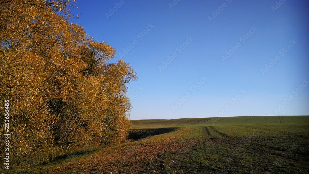 Naklejka premium Mein Herbst 2018 16