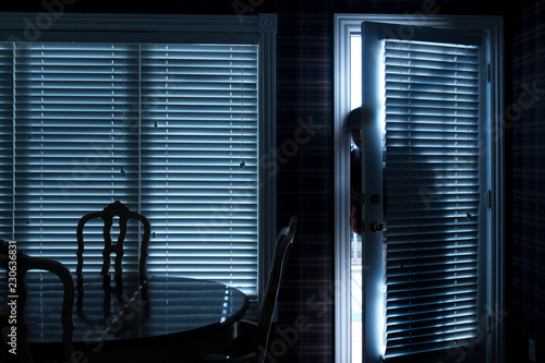 This photo illustrates a home break in at night through a back door from inside the residence.