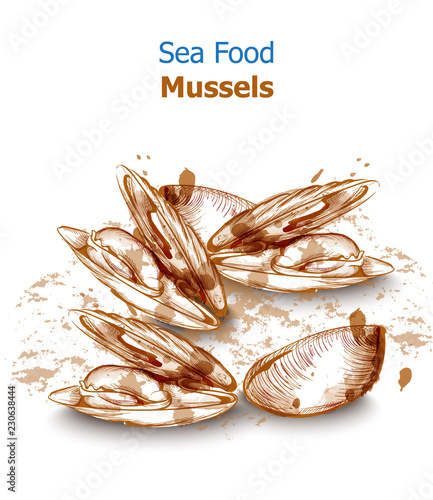 Menu card mussels seafood Vector. Fresh banner design line arts