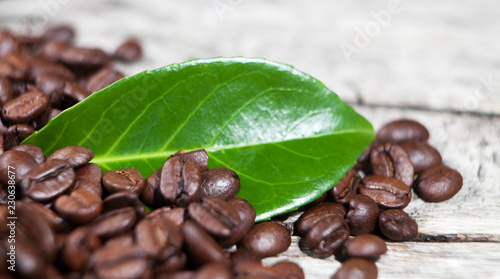 récolte de café