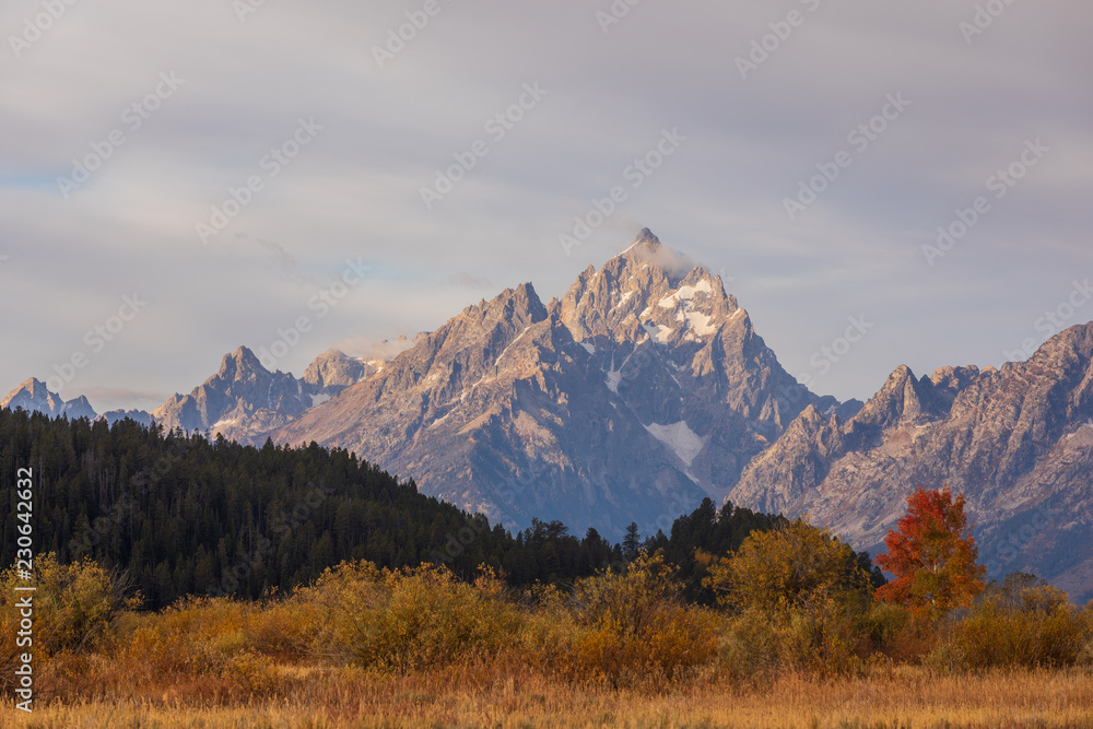 Scenic Autumn Landscape in the Tetons Scenic Autumn Landscape in the Tetons