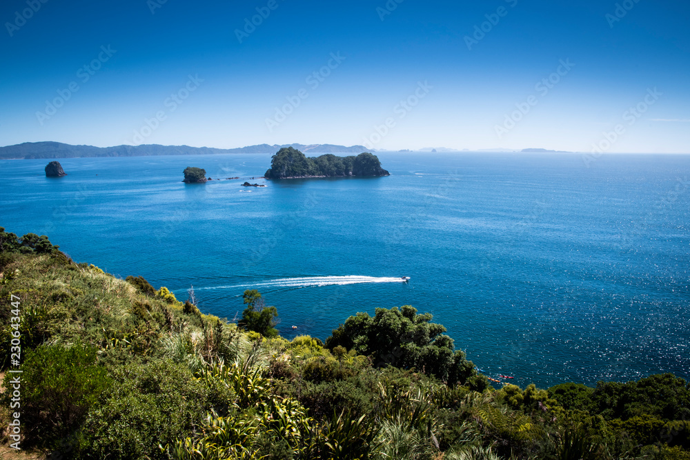 Scenic view of Coromandel Peninsula in New Zealand