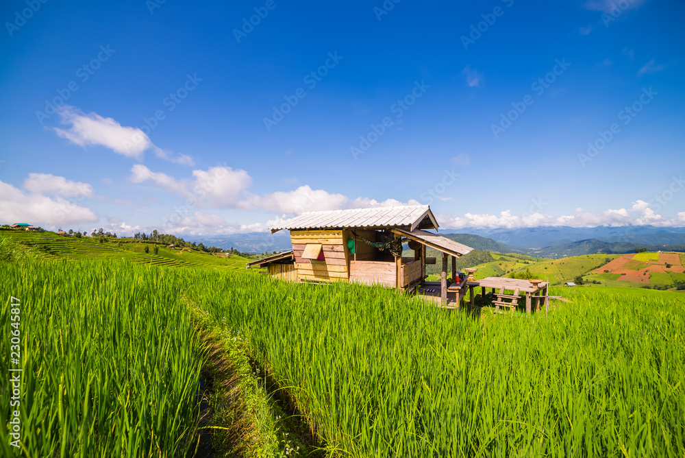 Small house and rice terraces field at pabongpaing village rice terraces Mae-Jam Chiang mai, Thailand Small house and rice terraces field at pabongpaing village rice terraces Mae-Jam Chiang mai, Thailand