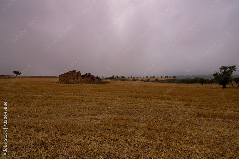 Fototapeta premium paisaje natural con cielo