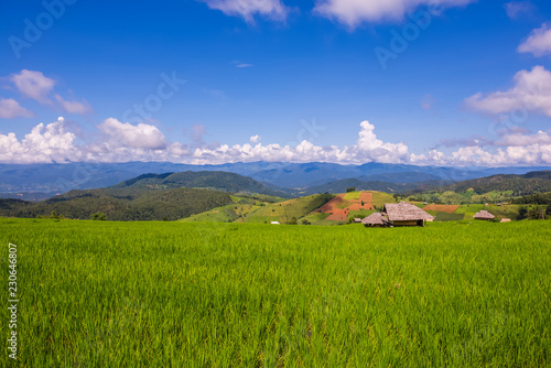 Small house and rice terraces field at pabongpaing village rice terraces Mae-Jam Chiang mai  Thailand