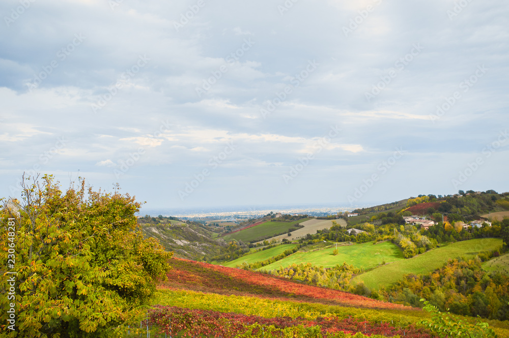 Fototapeta premium autunno in emilia