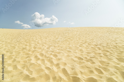 Sand desert at Dune du Pilat