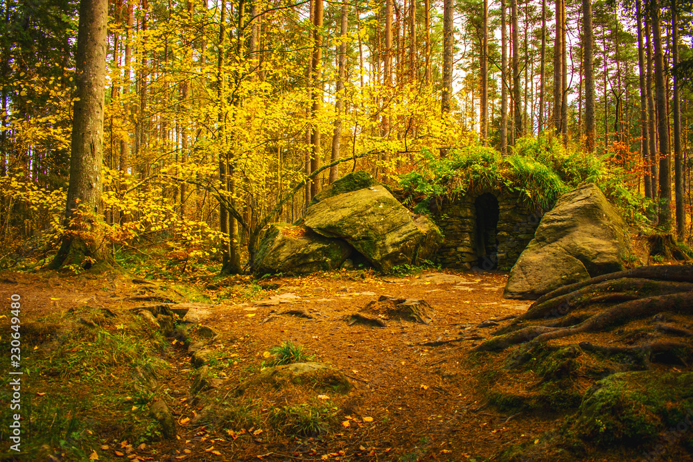 Obraz premium medieval play ground ancient forest stone house