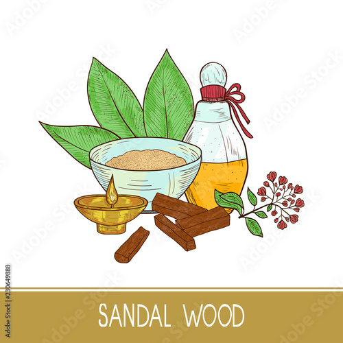 Sandal wood. Leaf, flower. Powder, bacillus, bowl, oil, bark. Color. Sketch. On a white background.