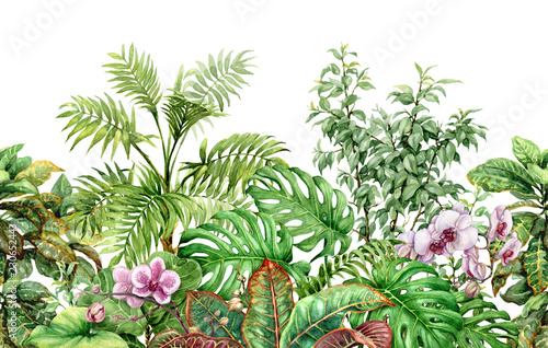 Fototapeta Naklejka Na Ścianę i Meble -  Tropical Plants Line Seamless Pattern
